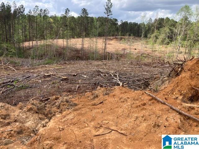 11482 Camp Oliver Road Adger, AL 35006 - Photo 47 of 48