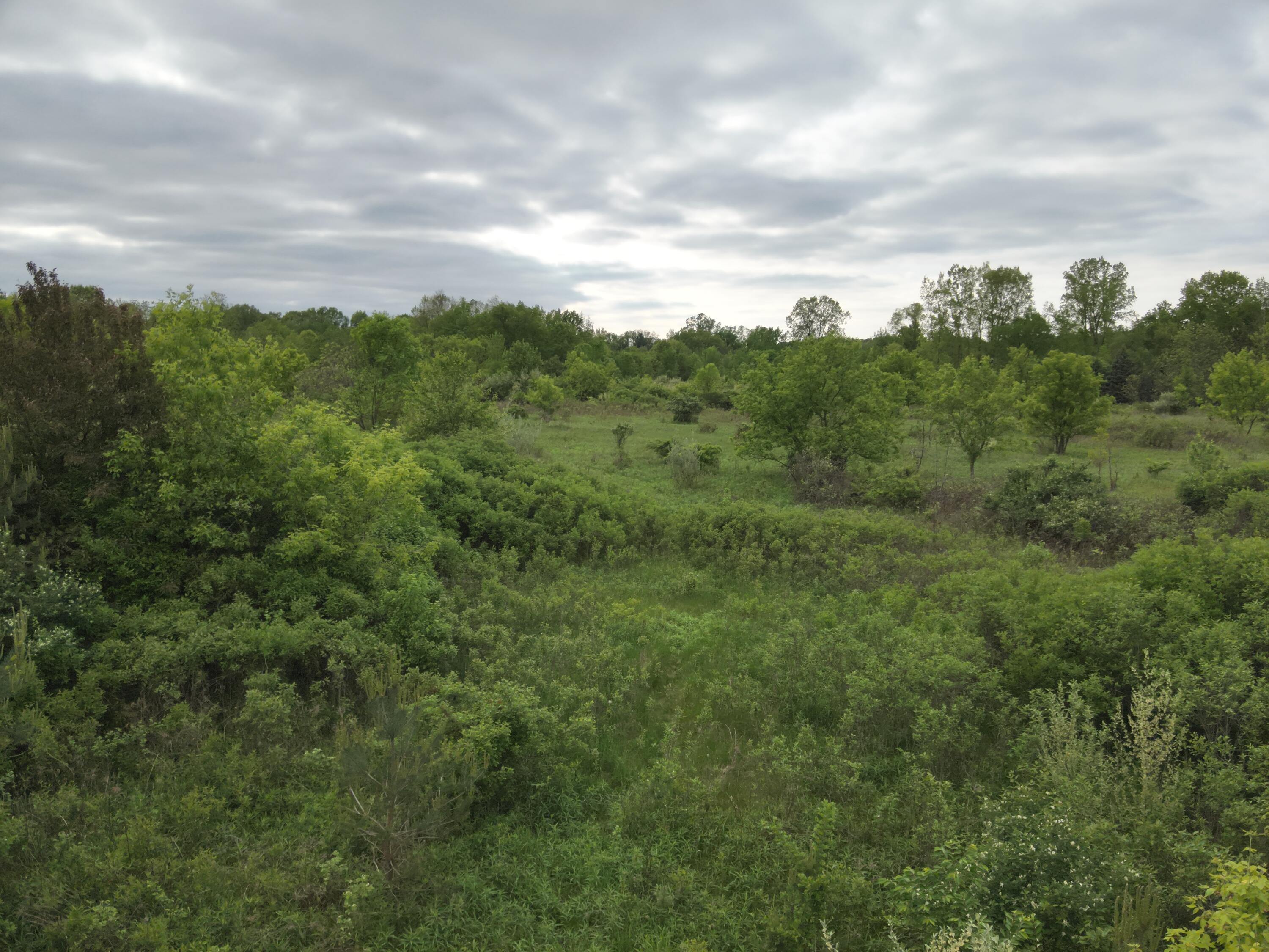 Bunkerhill Road Jackson, MI 49201 - Photo 1 of 31 DJI_20250520061520_0001_V
