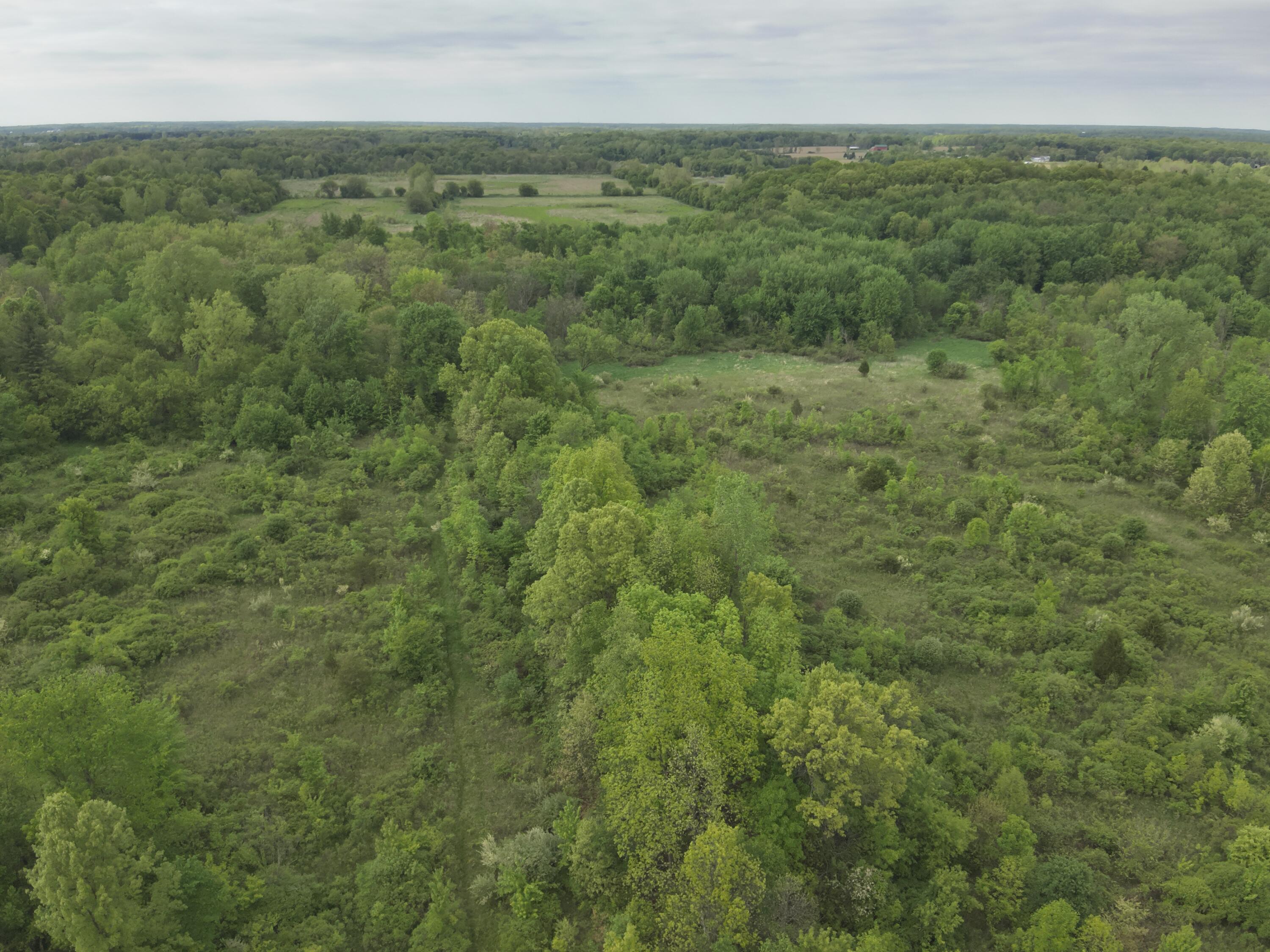 Bunkerhill Road Jackson, MI 49201 - Photo 11 of 31 DJI_20250520062635_0010_V