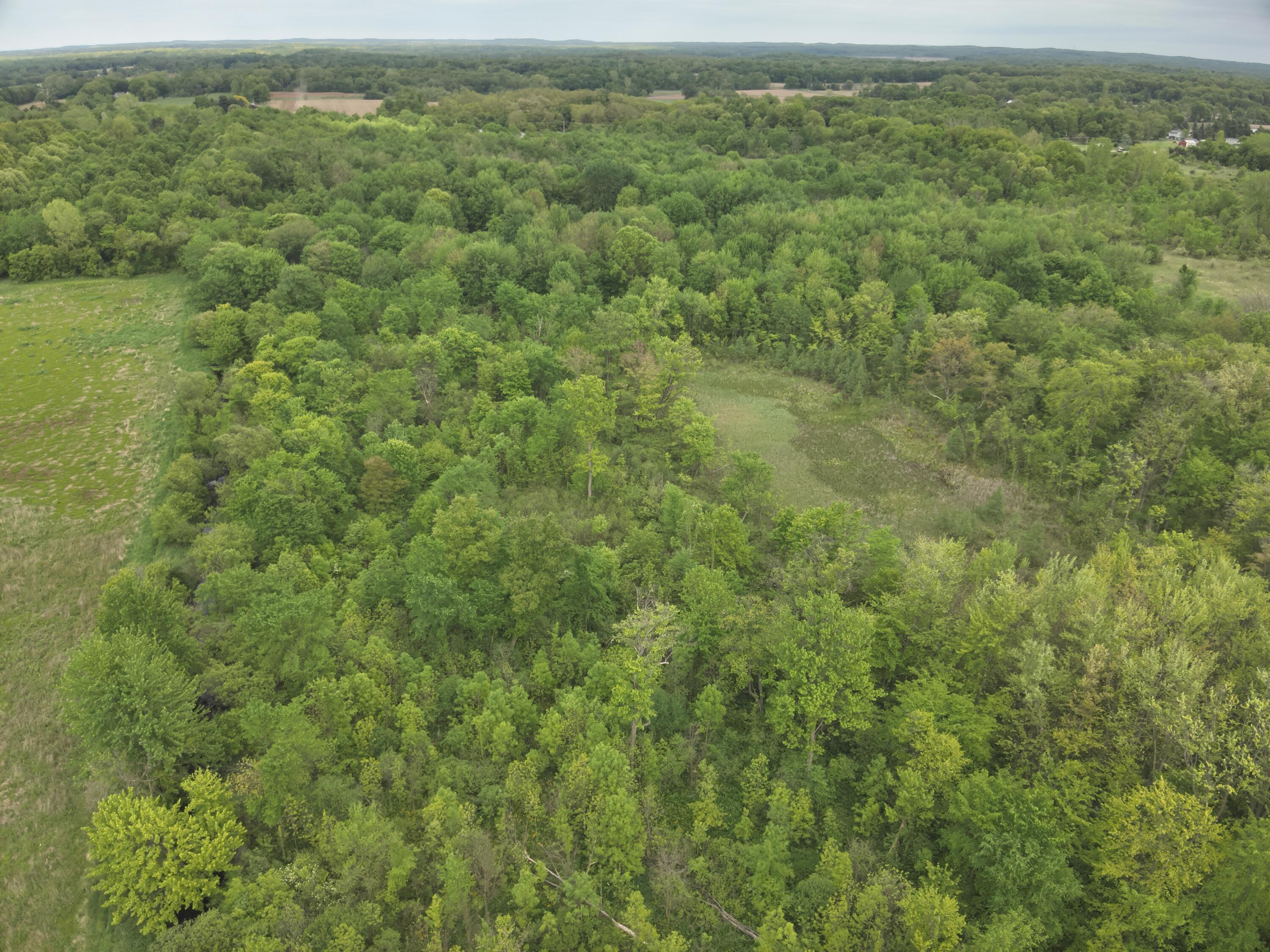 Bunkerhill Road Jackson, MI 49201 - Photo 13 of 31 DJI_20250520063041_0022_V