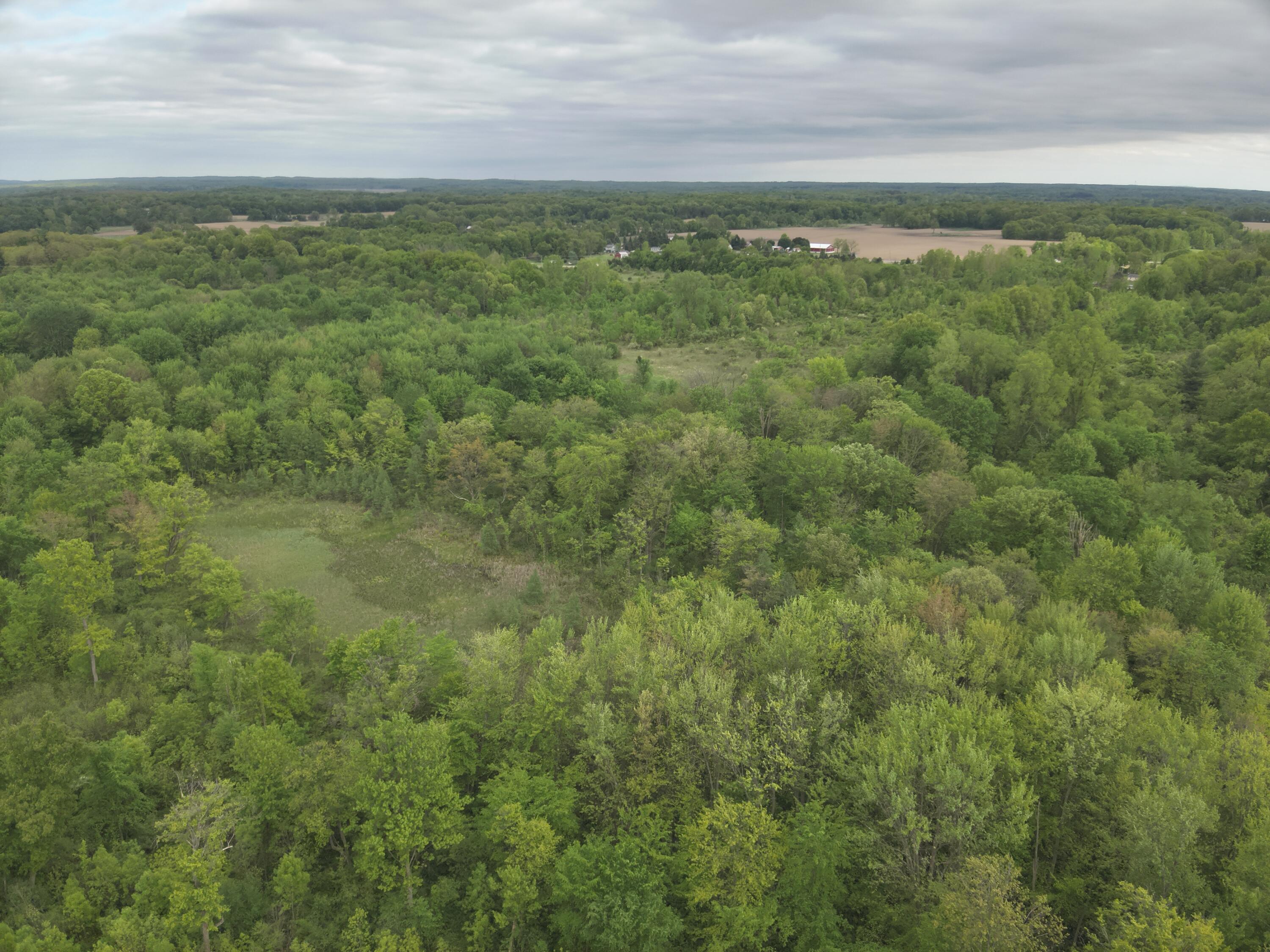Bunkerhill Road Jackson, MI 49201 - Photo 14 of 31 DJI_20250520063045_0023_V