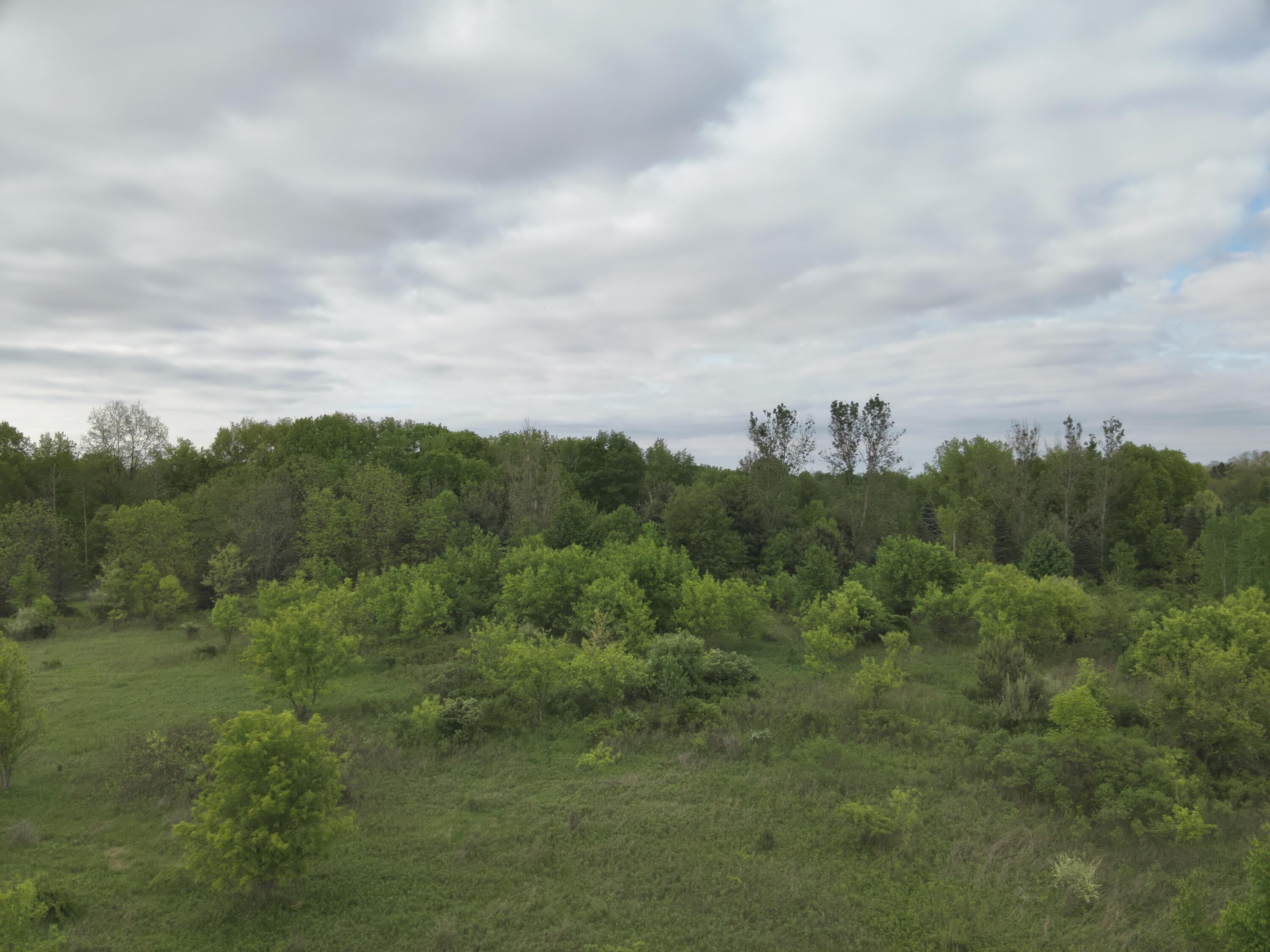 Bunkerhill Road Jackson, MI 49201 - Photo 15 of 31 DJI_20250520063343_0002_V