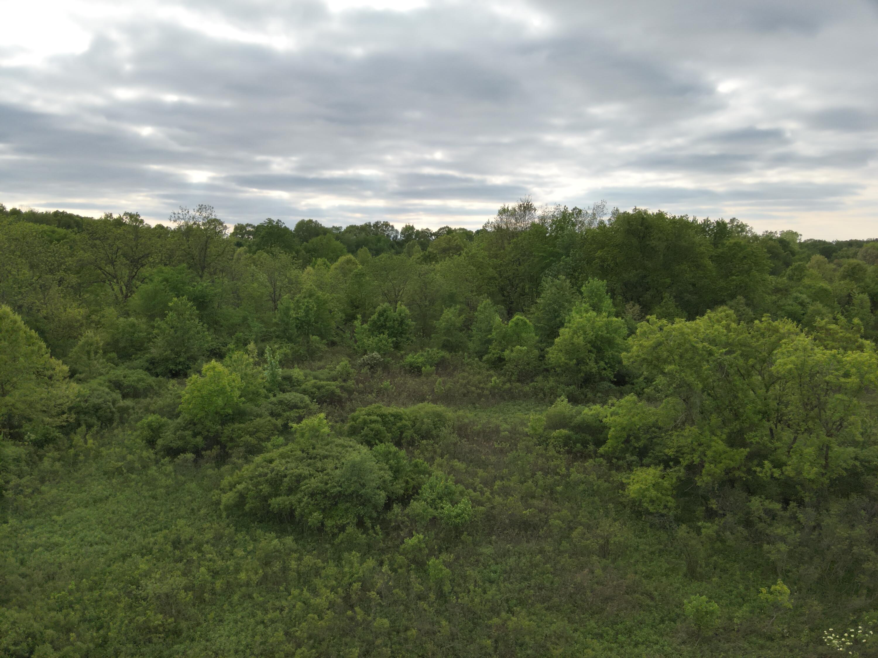 Bunkerhill Road Jackson, MI 49201 - Photo 16 of 31 DJI_20250520063618_0003_V