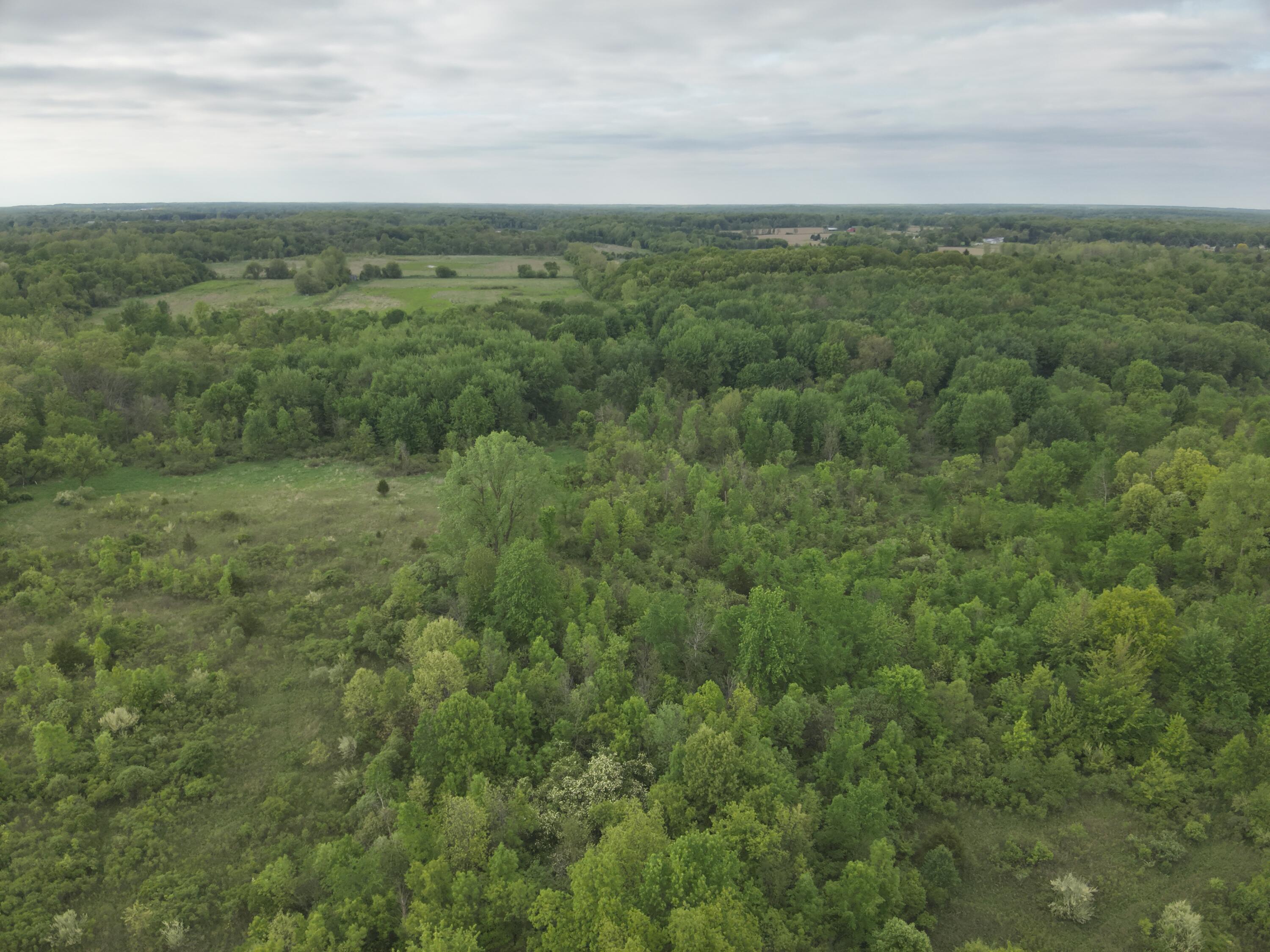 Bunkerhill Road Jackson, MI 49201 - Photo 18 of 31 DJI_20250520063654_0005_V