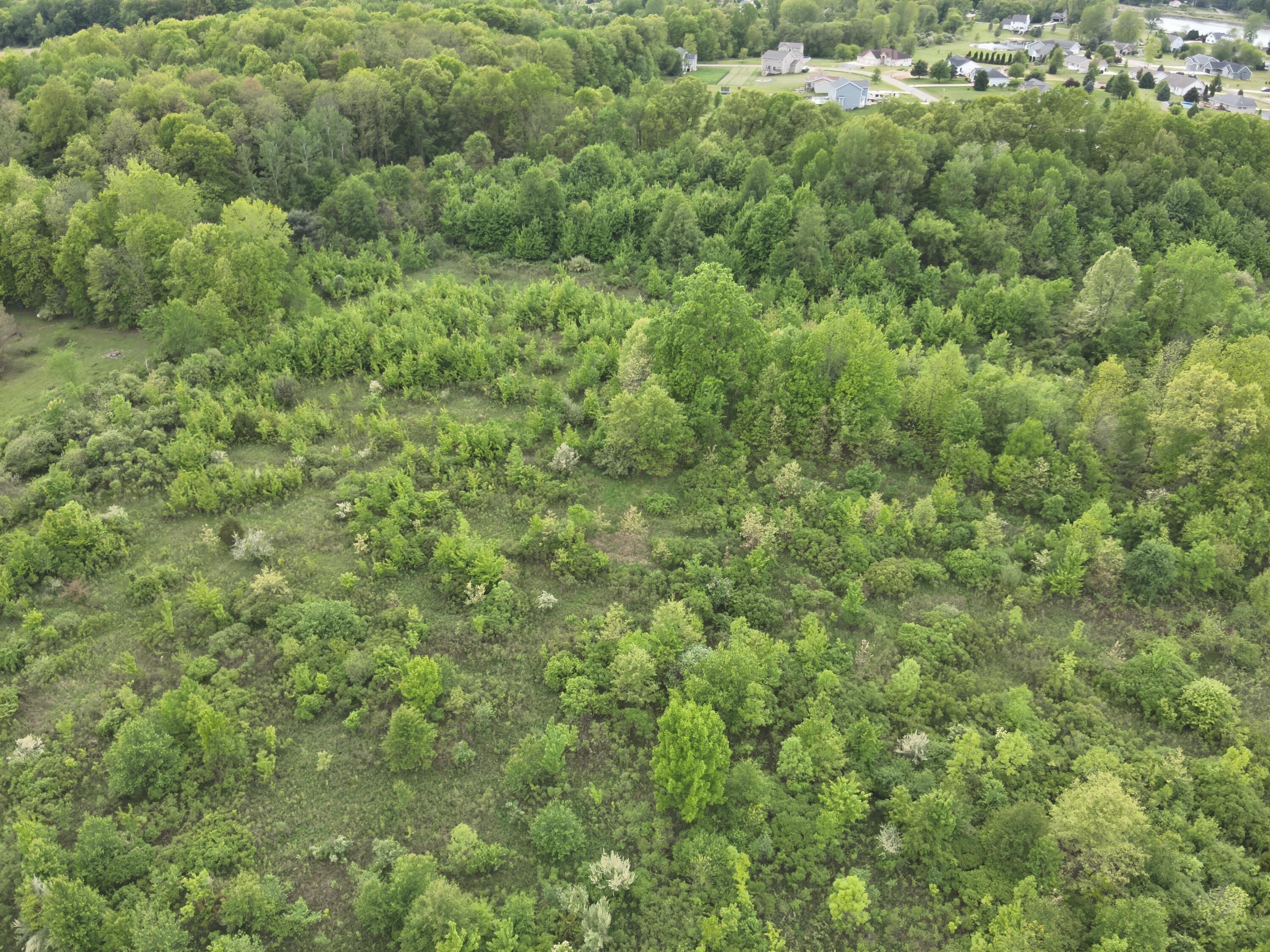 Bunkerhill Road Jackson, MI 49201 - Photo 20 of 31 DJI_20250520063710_0007_V