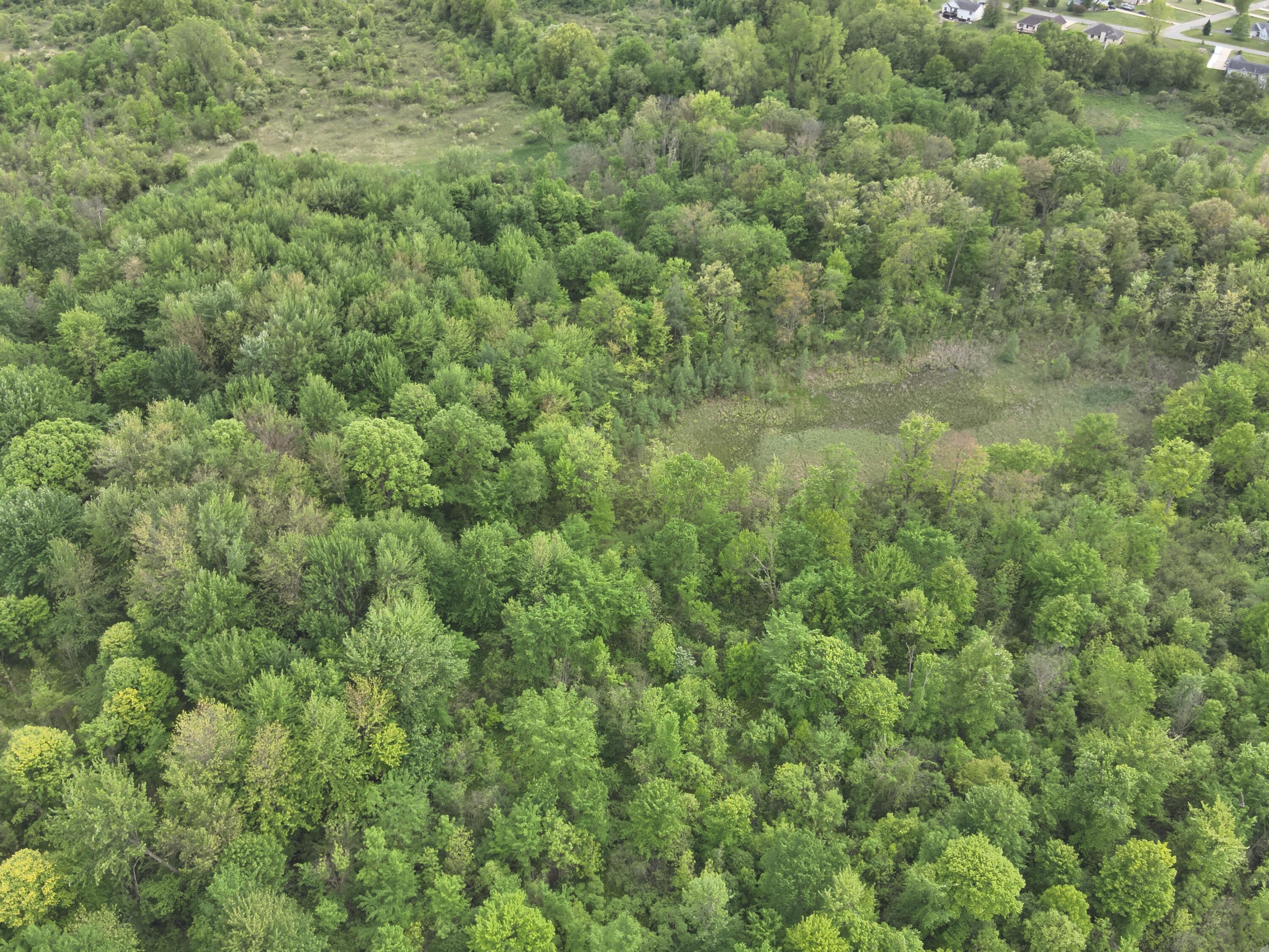 Bunkerhill Road Jackson, MI 49201 - Photo 23 of 31 DJI_20250520064411_0018_V
