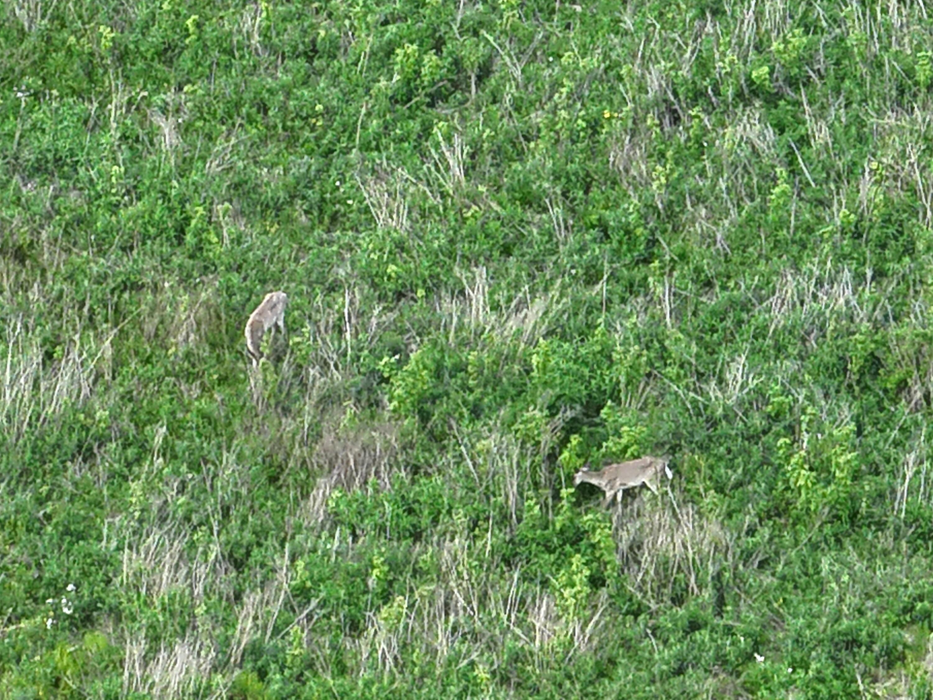 Bunkerhill Road Jackson, MI 49201 - Photo 25 of 31 DJI_20250520064259_0016_V