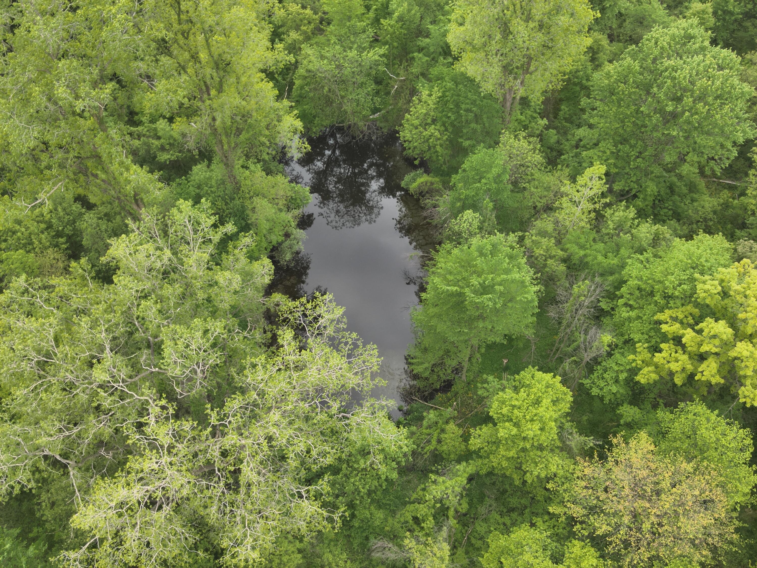 Bunkerhill Road Jackson, MI 49201 - Photo 26 of 31 DJI_20250520063839_0012_V