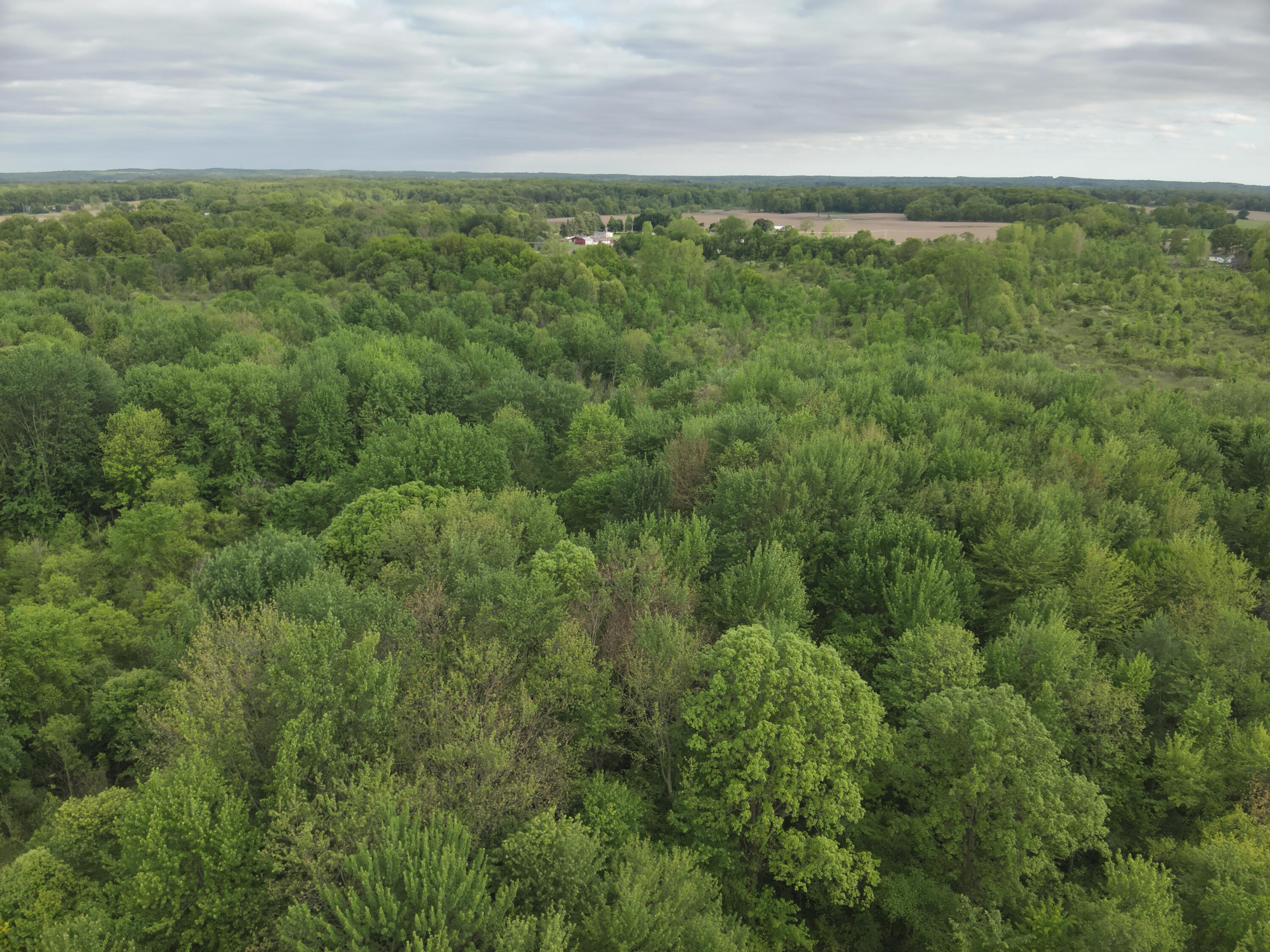 Bunkerhill Road Jackson, MI 49201 - Photo 28 of 31 DJI_20250520064704_0019_V