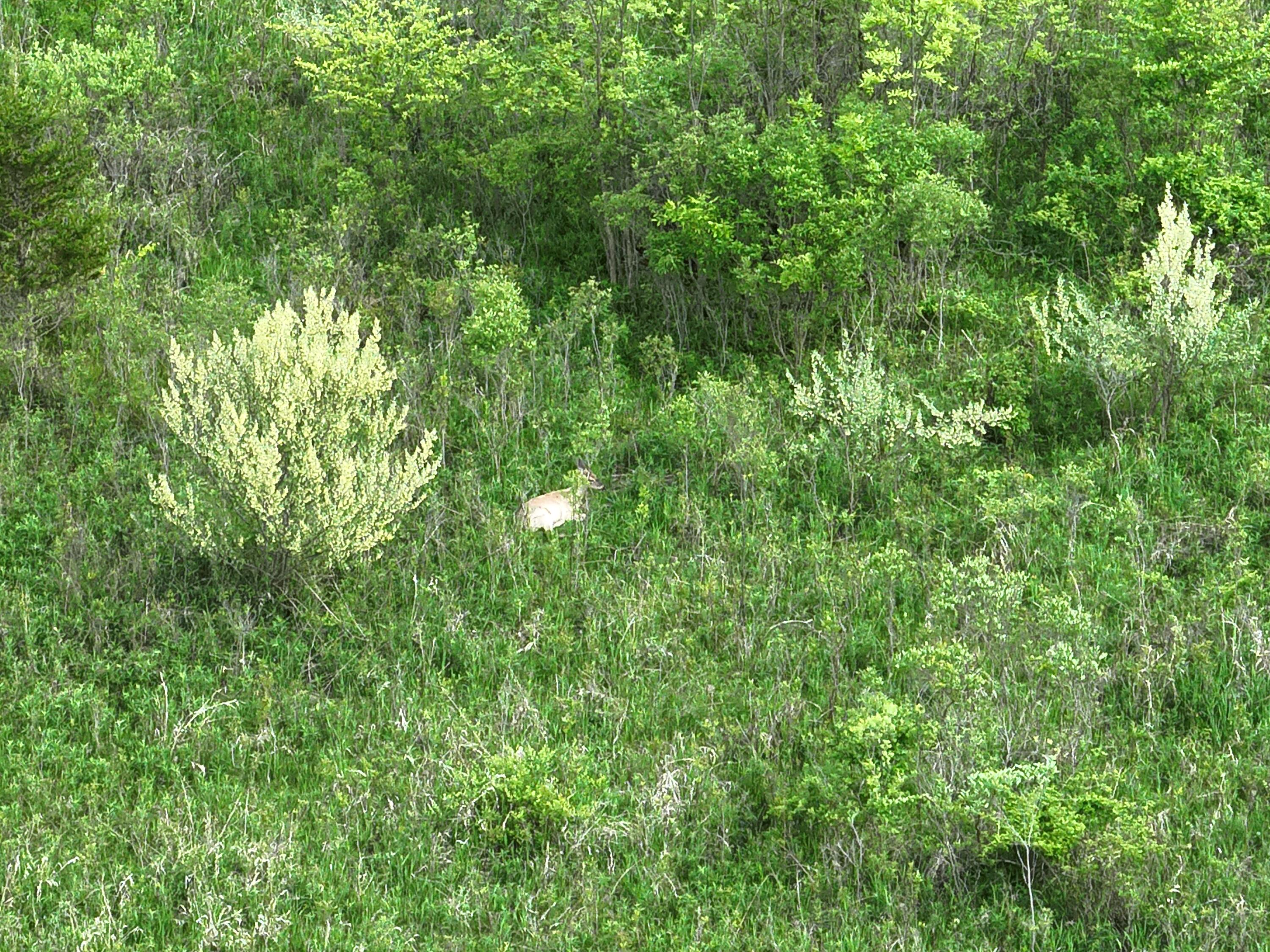 Bunkerhill Road Jackson, MI 49201 - Photo 29 of 31 DJI_20250520064748_0020_V