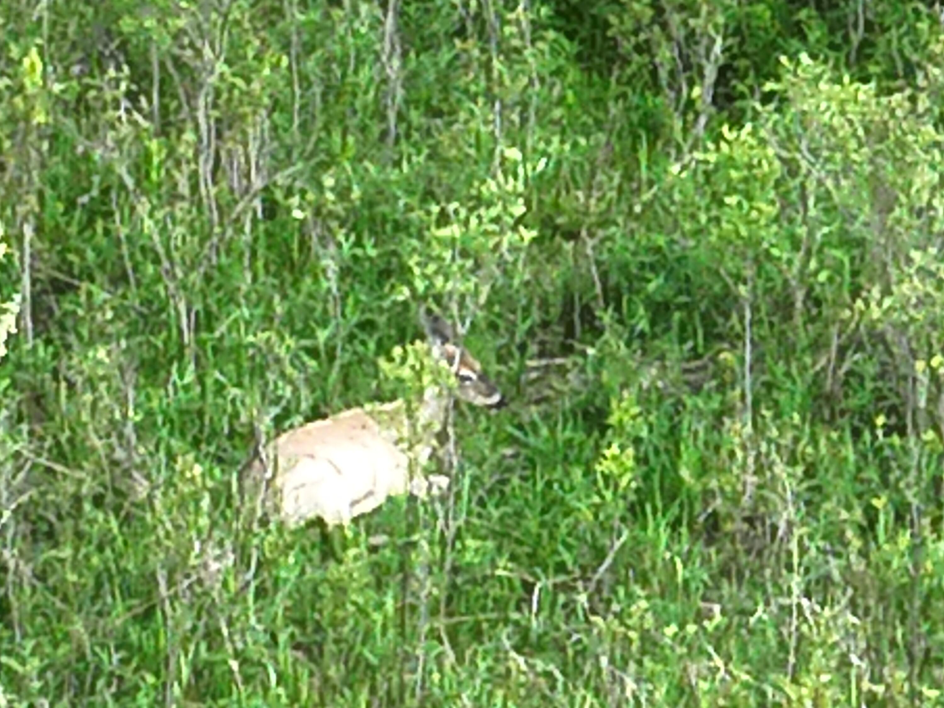 Bunkerhill Road Jackson, MI 49201 - Photo 30 of 31 DJI_20250520064755_0021_V