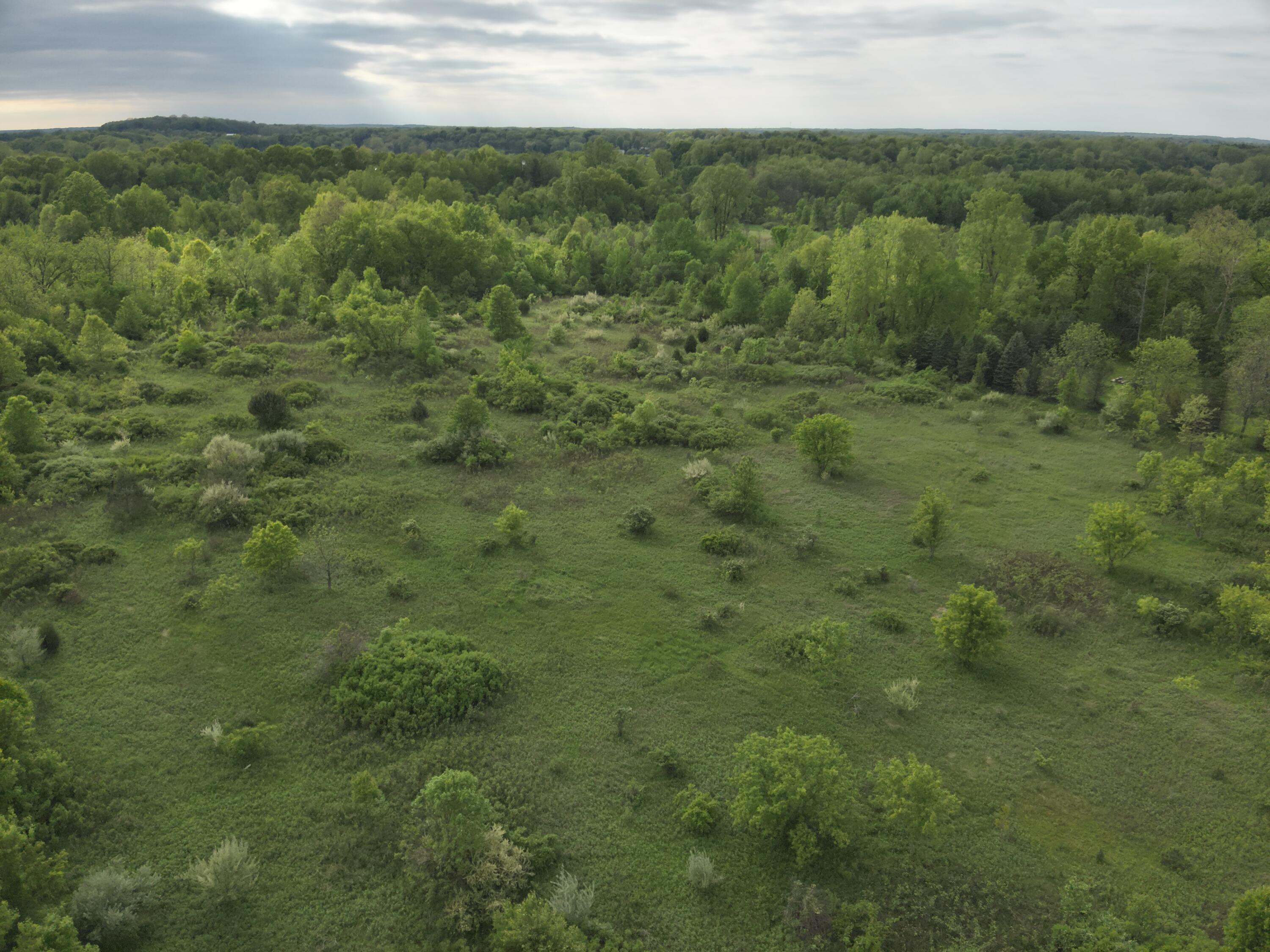 Bunkerhill Road Jackson, MI 49201 - Photo 4 of 31 DJI_20250520062055_0004_V