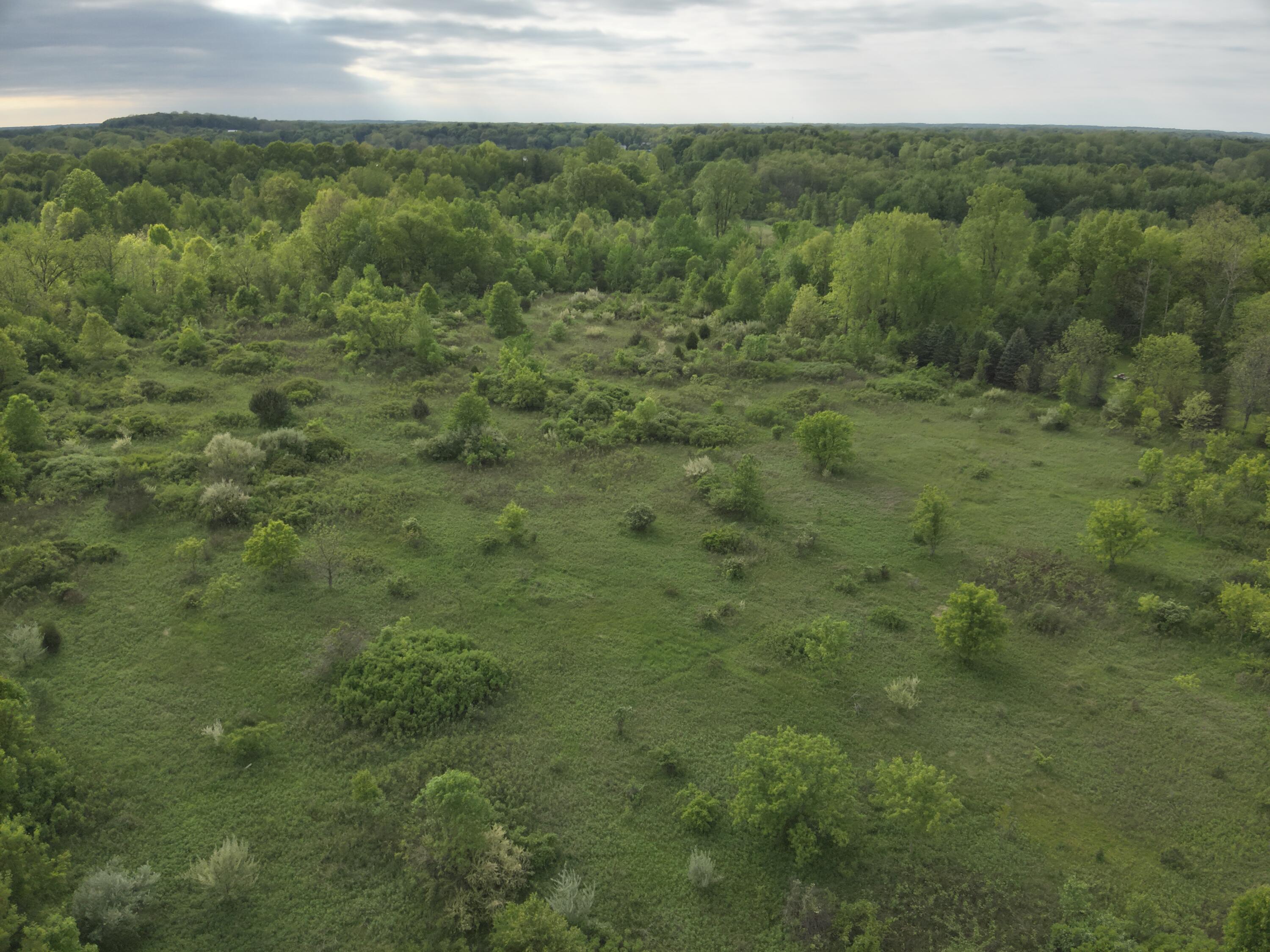 Bunkerhill Road Jackson, MI 49201 - Photo 5 of 31 DJI_20250520062103_0005_V