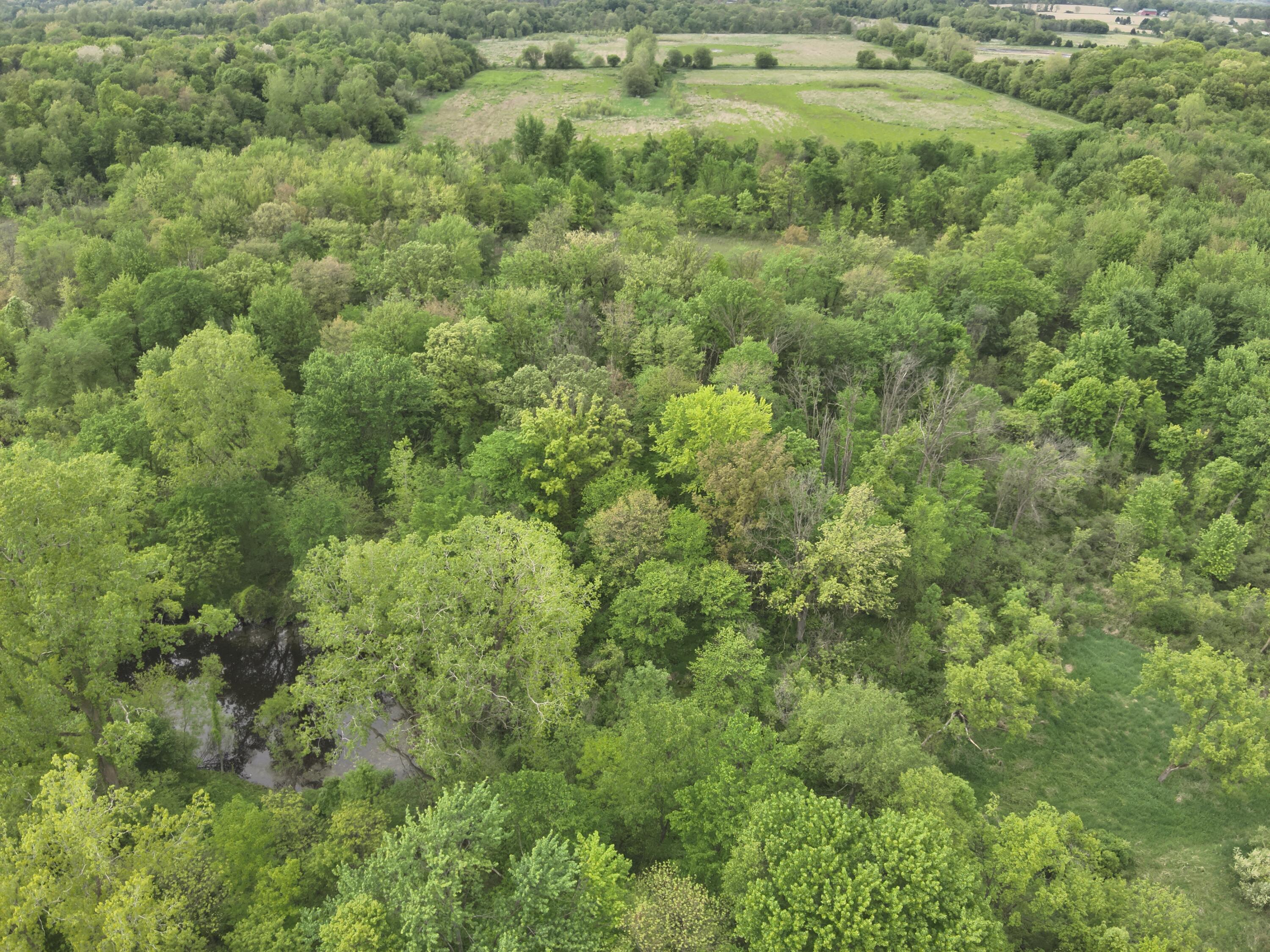 Bunkerhill Road Jackson, MI 49201 - Photo 7 of 31 DJI_20250520062928_0018_V
