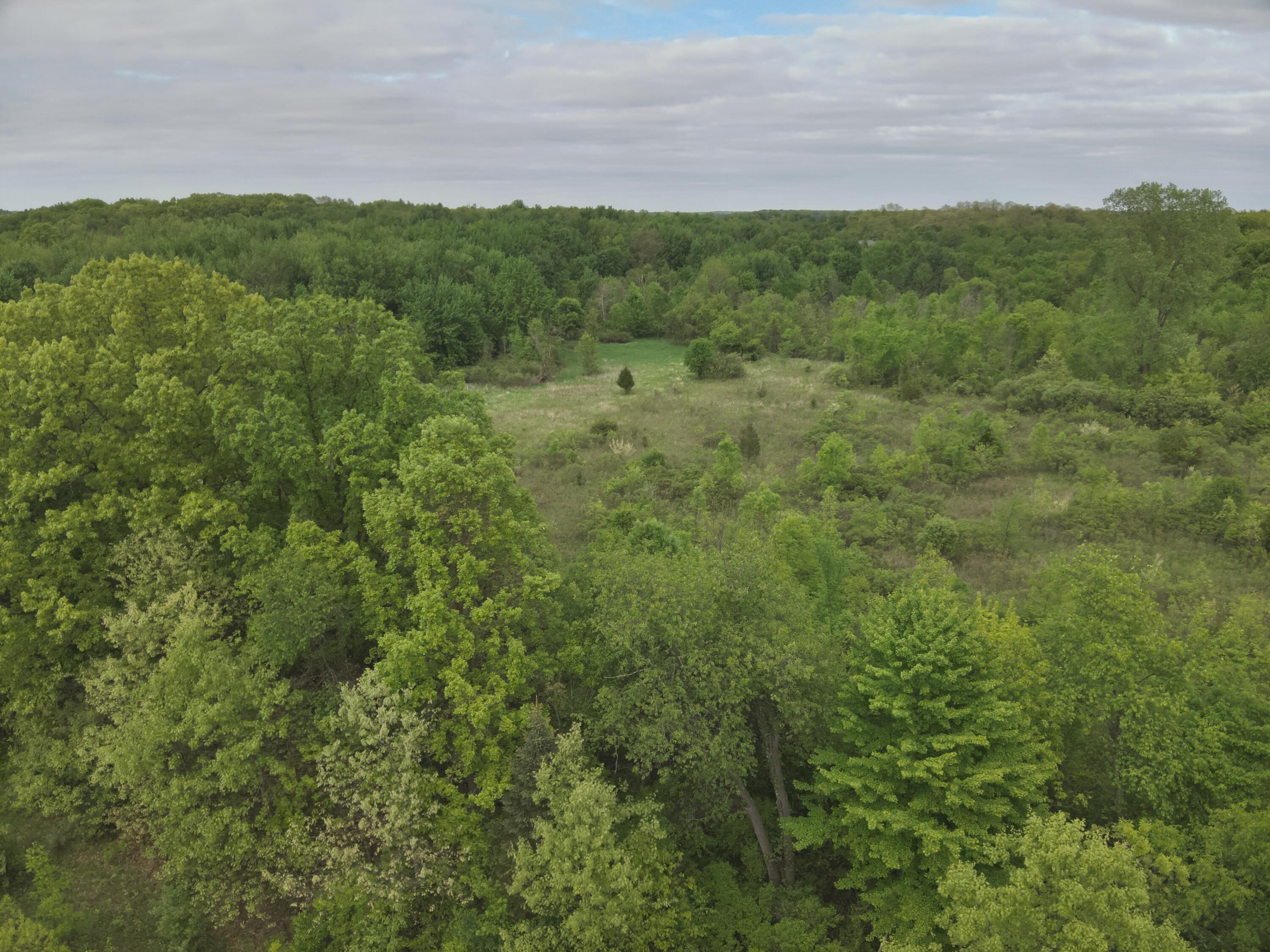 Bunkerhill Road Jackson, MI 49201 - Photo 9 of 31 DJI_20250520062856_0016_V
