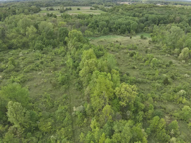 $498,000 | Bunkerhill Road, Jackson, MI 49201