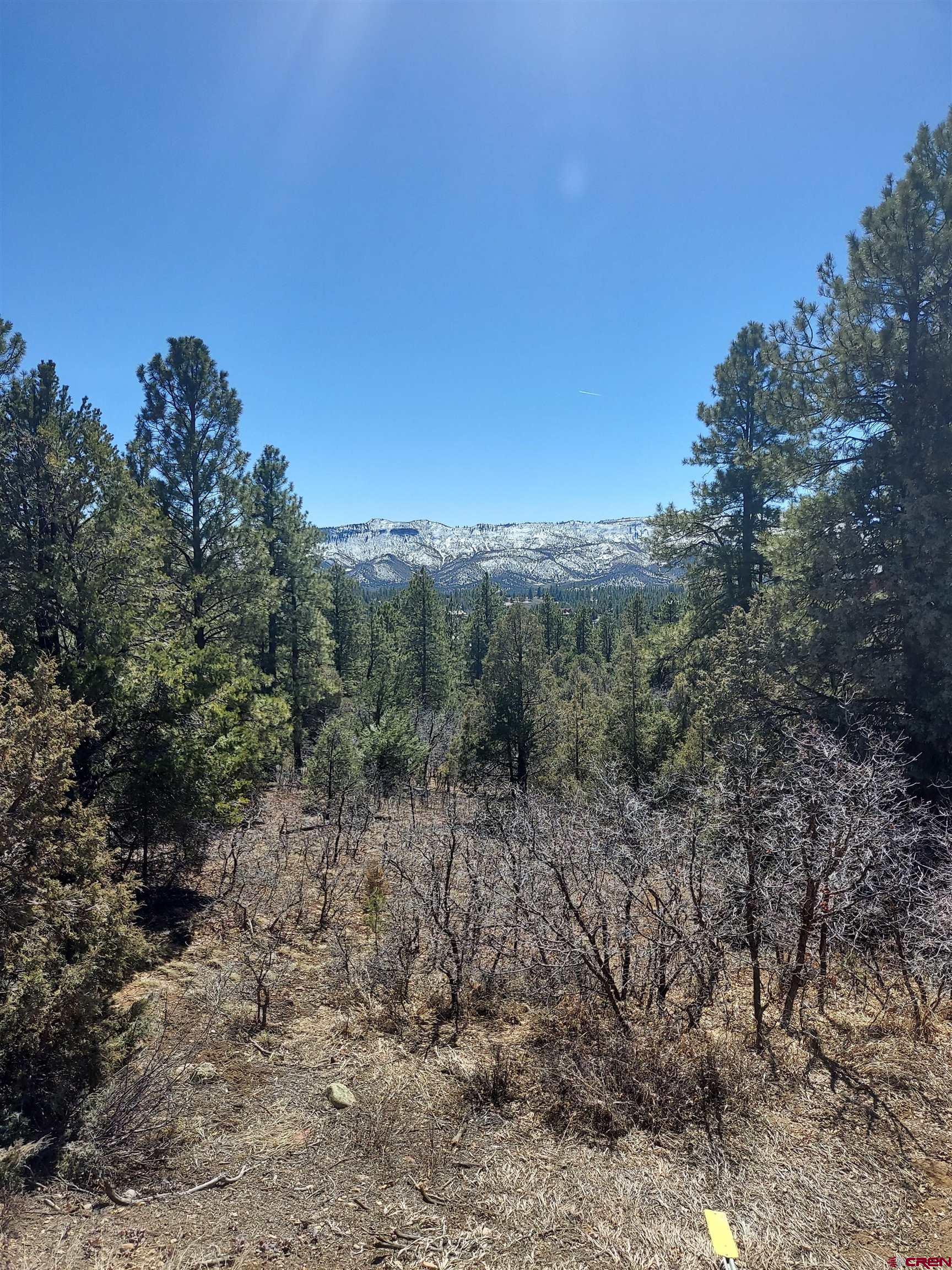 Tbd Sawmill Road Durango, CO 81303 - Photo 3 of 5