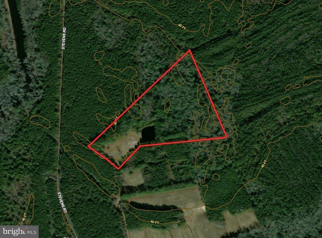 a view of a backyard with plants