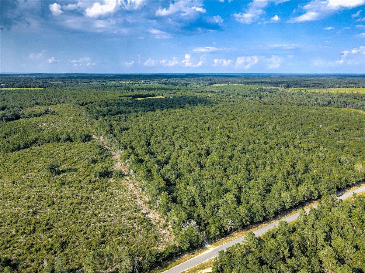 0 Millers Pond Road, Unit 1 Salley, SC 29137 - Photo 14 of 22