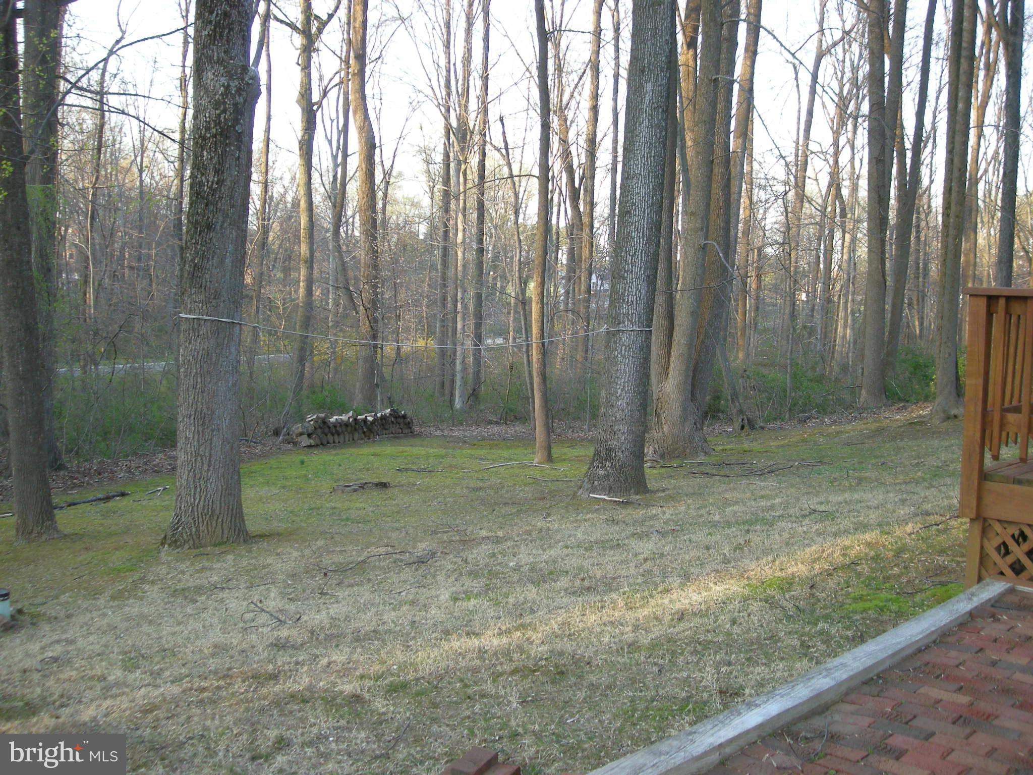 11911 Bluestone Road Kingsville, MD 21087 - Photo 6 of 30 View of yard