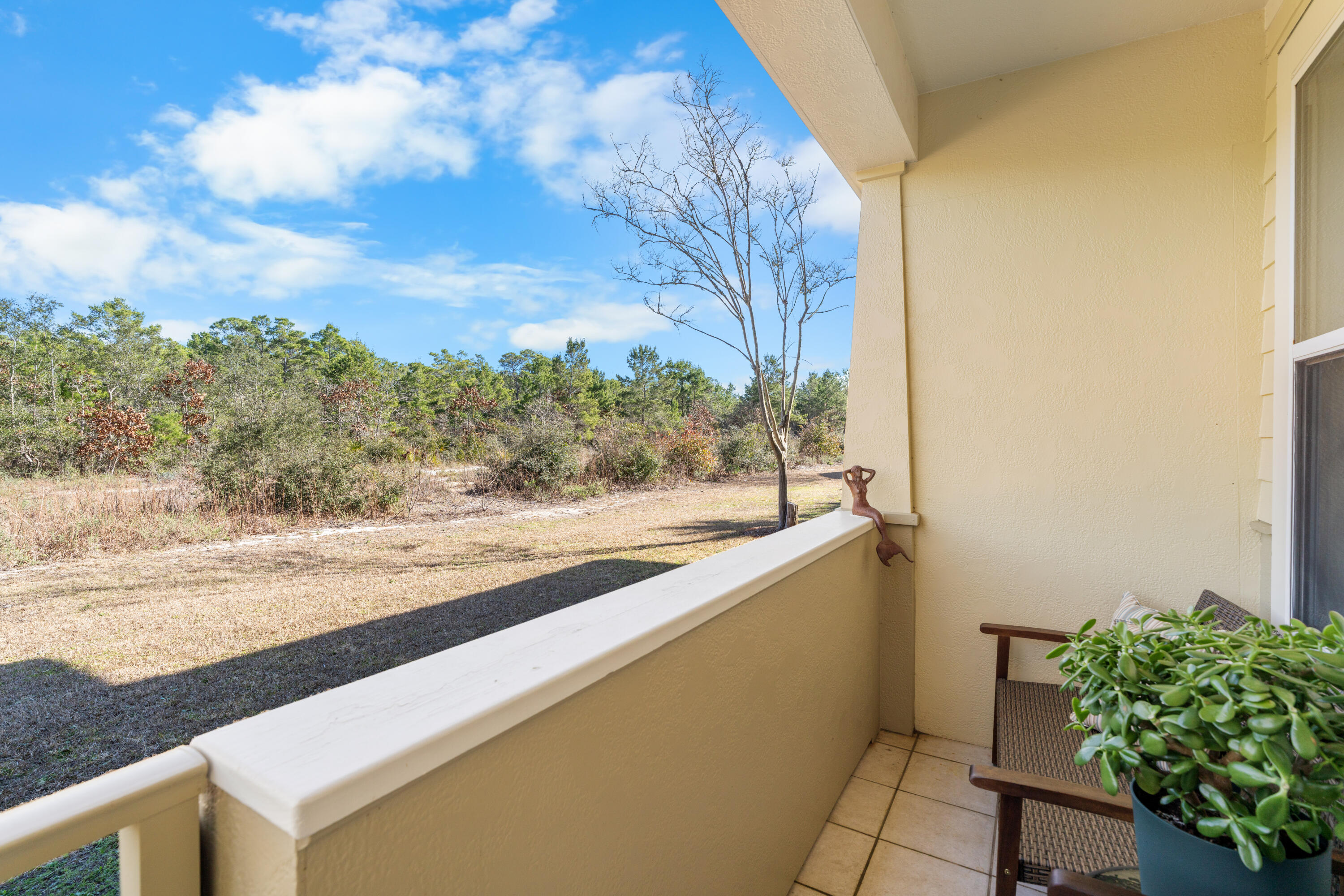 20 North Wildflower Drive, Unit 513 Santa Rosa Beach, FL 32459 - Photo 25 of 32 DSC07308