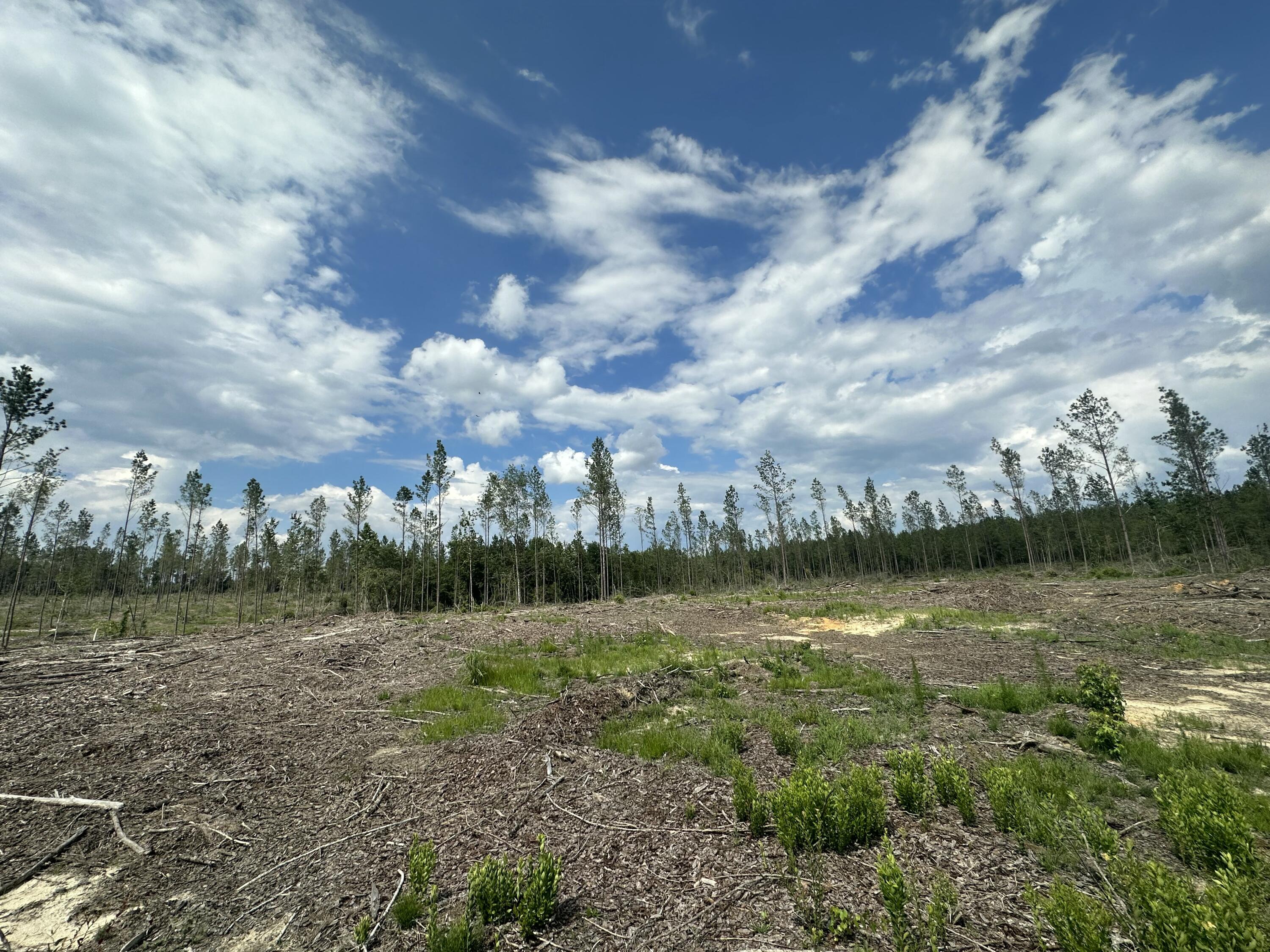 a view of a lake with houses in back