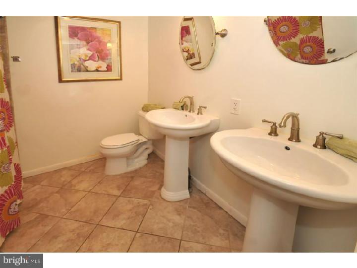 1031 Sugar Bottom Road Furlong, PA 18925 - Photo 12 of 25 Bathroom