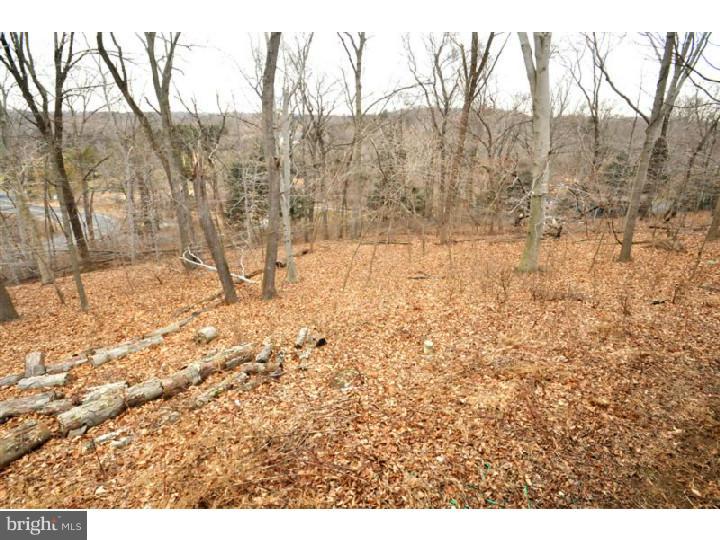 1031 Sugar Bottom Road Furlong, PA 18925 - Photo 22 of 25 View