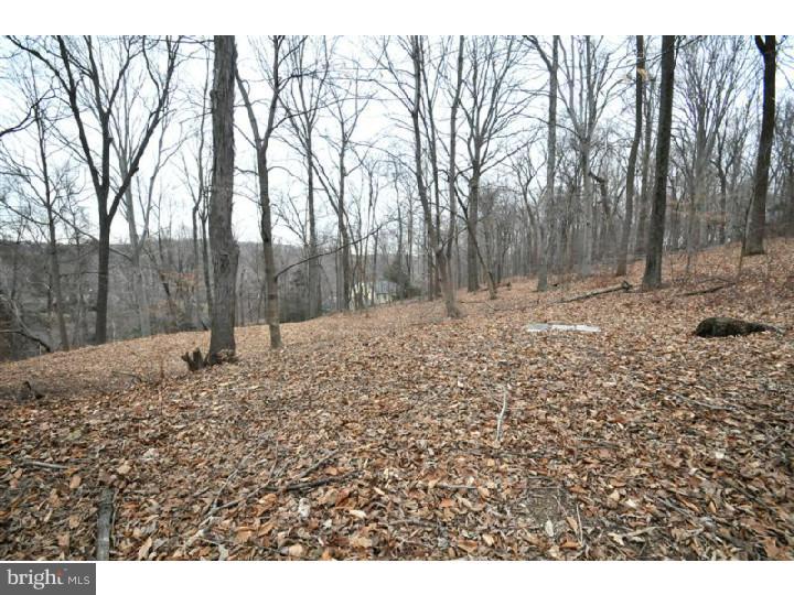 1031 Sugar Bottom Road Furlong, PA 18925 - Photo 24 of 25 View
