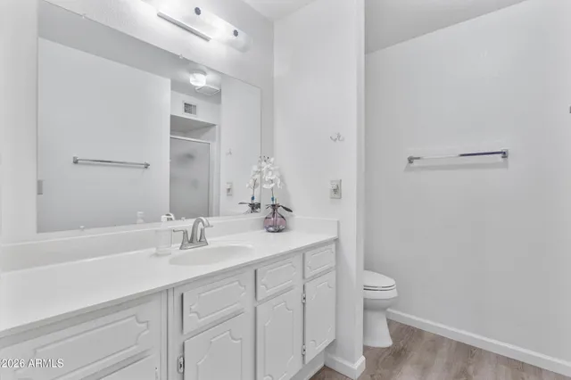 a bathroom with a sink a toilet a shower and a mirror