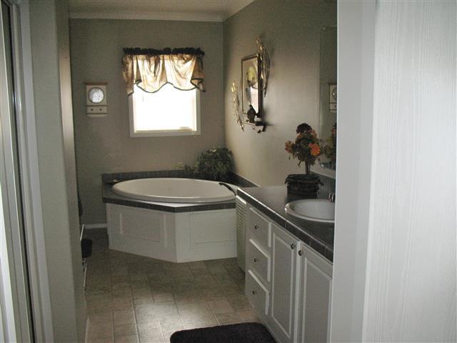 300 Edenway Road Dover, TN 37058 - Photo 18 of 20 Master bath with Jacuzzi tub and separate shower.