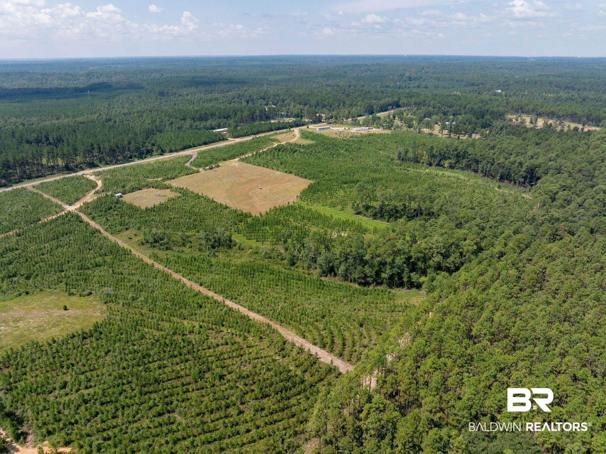 0 Horseneck Road Bay Minette, AL 36507 - Photo 7 of 11