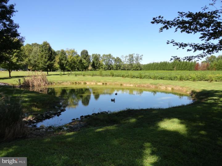 844 Dexter Corner Road Townsend, DE 19734 - Photo 12 of 24 Lake / Pond