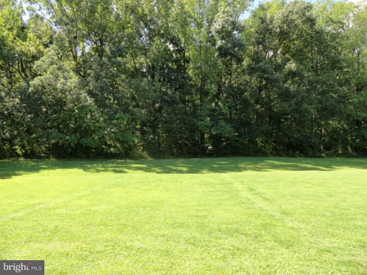 844 Dexter Corner Road Townsend, DE 19734 - Photo 19 of 24 Back Yard