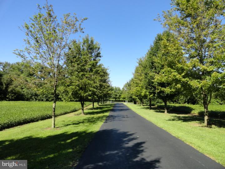 844 Dexter Corner Road Townsend, DE 19734 - Photo 3 of 24 Driveway