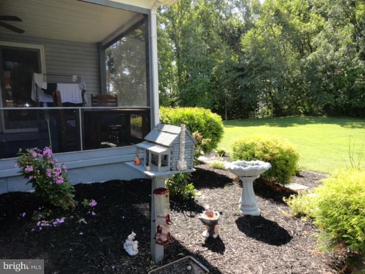 844 Dexter Corner Road Townsend, DE 19734 - Photo 23 of 24 Back Yard