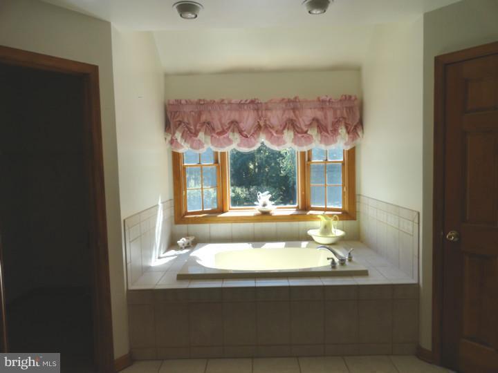 844 Dexter Corner Road Townsend, DE 19734 - Photo 8 of 24 Master Bathroom