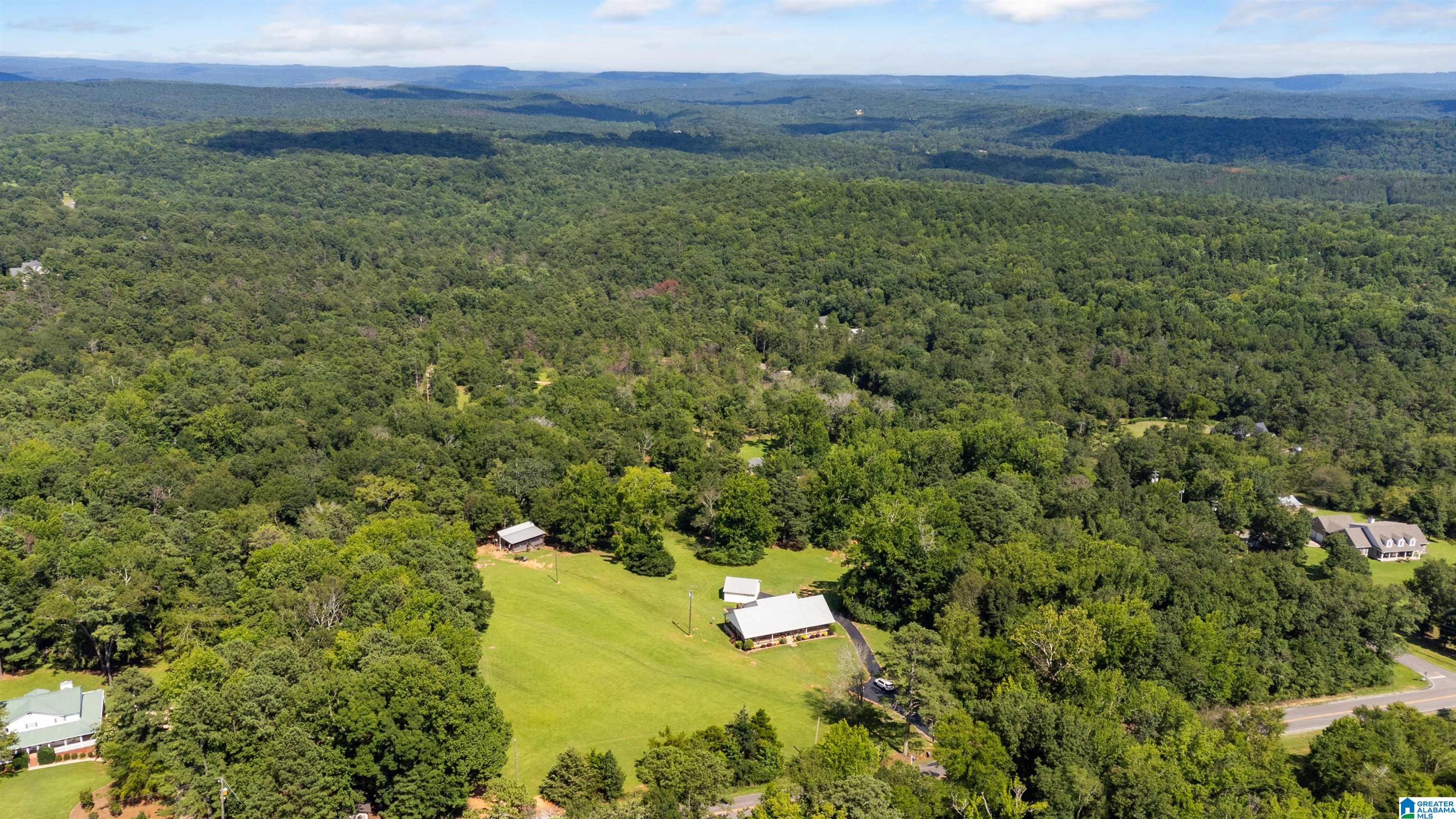 1733 Mountain View Road Springville, AL 35146 - Photo 12 of 37