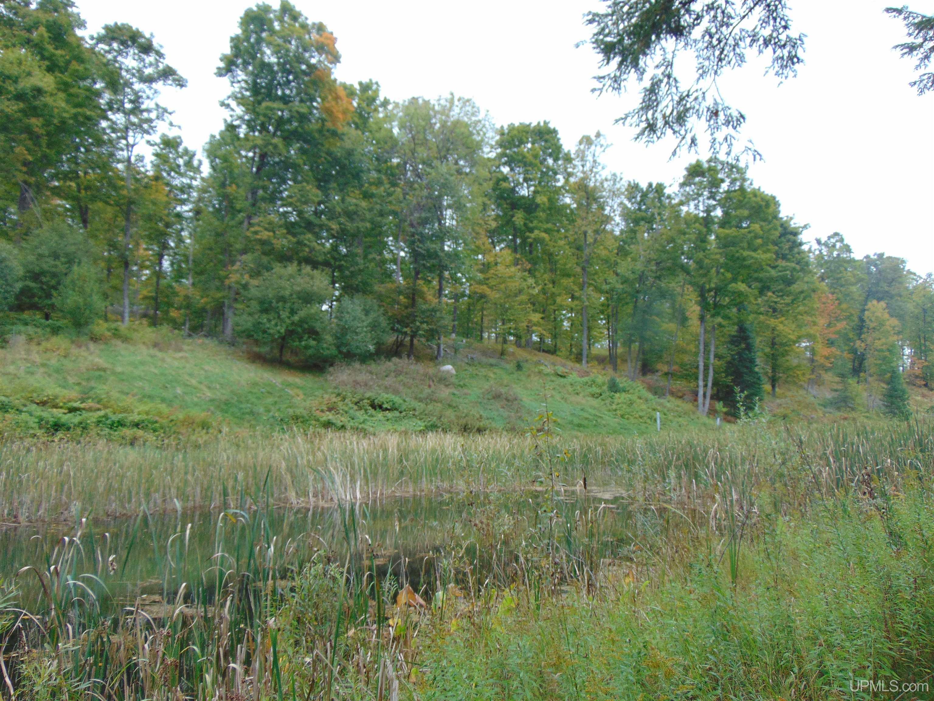 2792 County Line Road Vulcan, MI 49892 - Photo 84 of 99