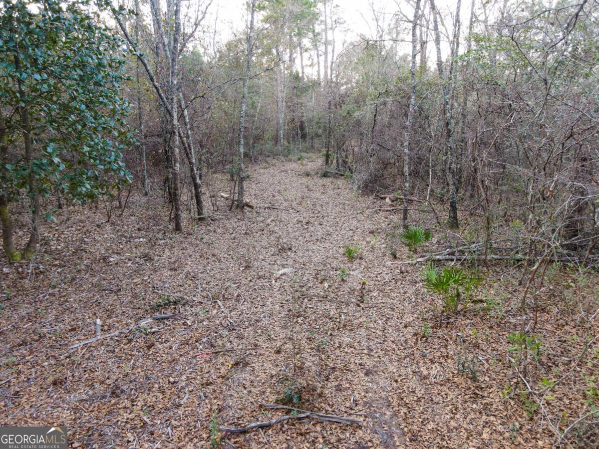 0 Floyd Road, Unit LOT 9 Pembroke, GA 31321 - Photo 2 of 10 a view of a forest with trees in the background