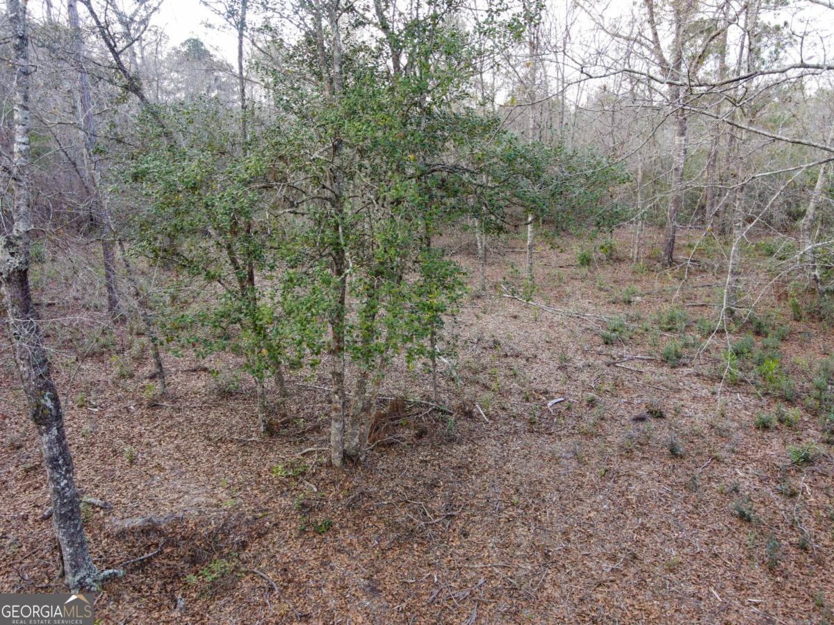 0 Floyd Road, Unit LOT 9 Pembroke, GA 31321 - Photo 3 of 10 a view of a forest with trees in the background
