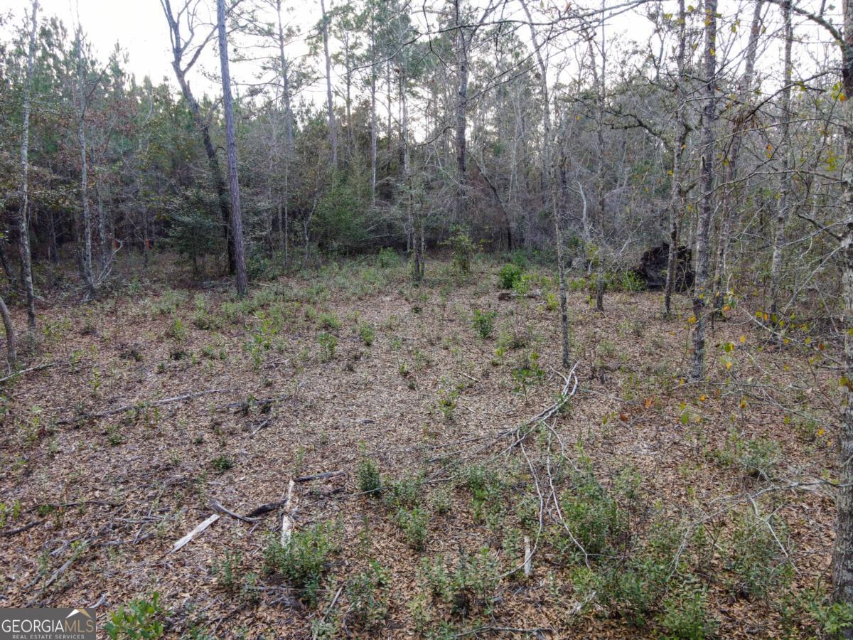 0 Floyd Road, Unit LOT 9 Pembroke, GA 31321 - Photo 4 of 10 a view of a forest with trees in the background