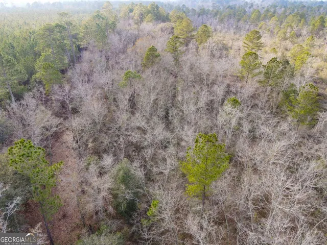 a plant with lots of plants and trees