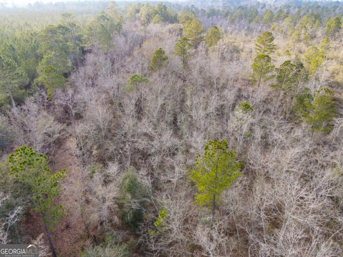 0 Floyd Road, Unit LOT 9 Pembroke, GA 31321 - Photo 7 of 10