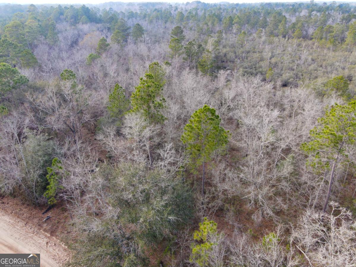 0 Floyd Road, Unit LOT 9 Pembroke, GA 31321 - Photo 8 of 10 a plant with lots of plants and trees