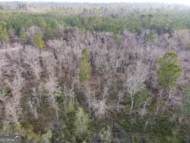 $109,200 | 0 Floyd Road, Unit LOT 9, Pembroke, GA 31321