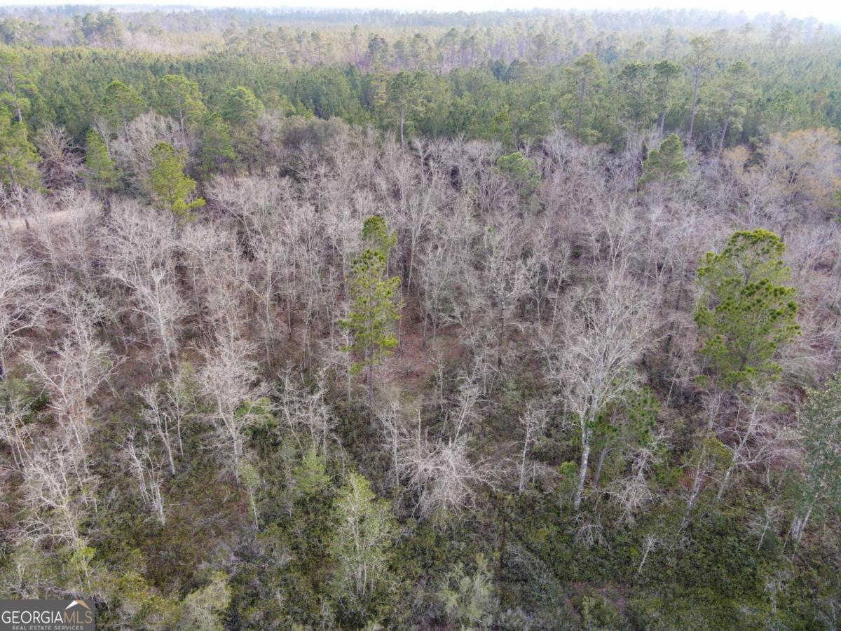 0 Floyd Road, Unit LOT 9 Pembroke, GA 31321 - Photo 9 of 10 a view of a forest with trees in the background