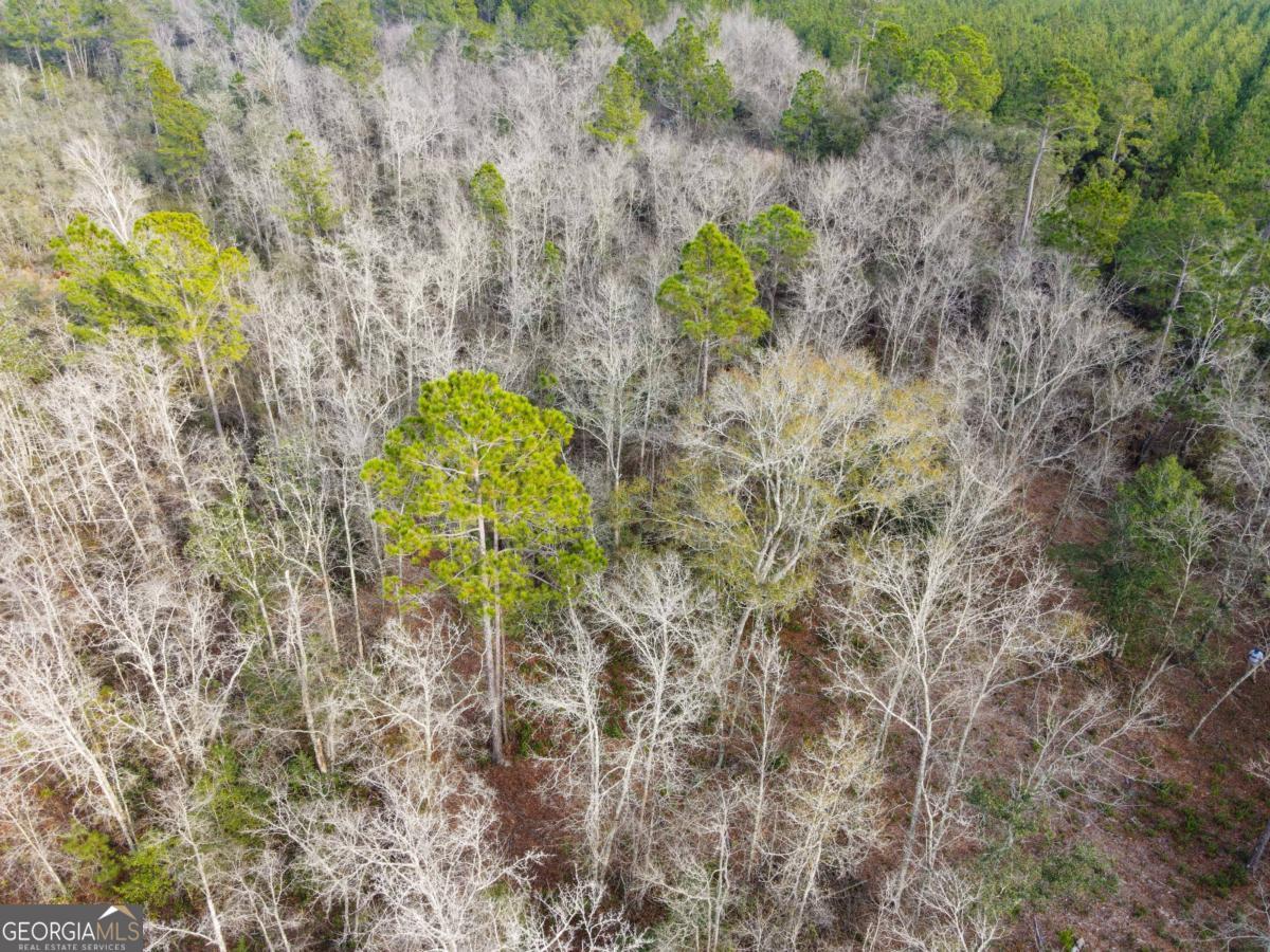 0 Floyd Road, Unit LOT 9 Pembroke, GA 31321 - Photo 10 of 10