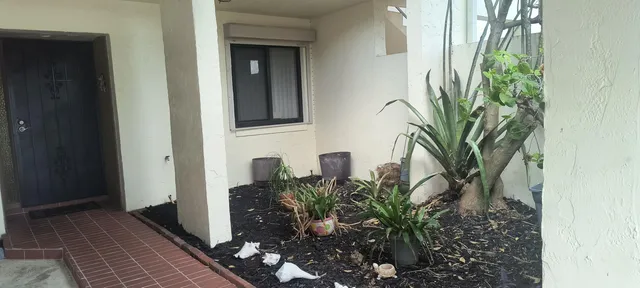 a plant with a plant in front of it