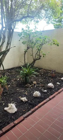 a view of a backyard of the house